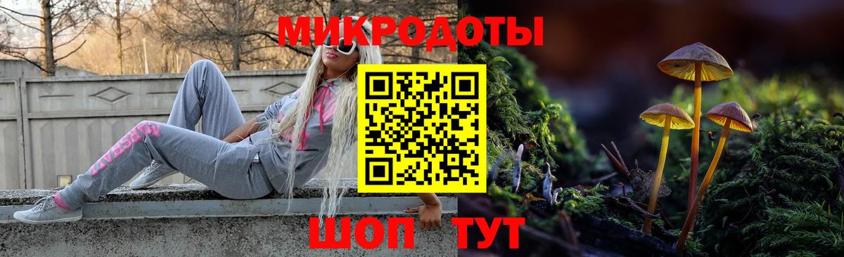 Псилоцибиновые грибы ЛСД Вышний Волочёк